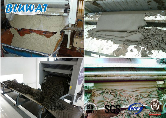 Mua Chất khử nước bùn Cationic Polyacrylamide CPAM Blufloc SGS BV Chứng nhận sản xuất trực tuyến