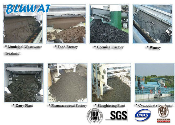 Mua Bột trắng Polyacrylamide để khử nước bùn sản xuất trực tuyến