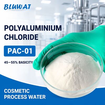 mua PAC-01 Polialuminium clorua dạng bột trắng với độ kiềm 45-55% trong bao 25kg dùng cho xử lý nước mỹ phẩm sản xuất trực tuyến