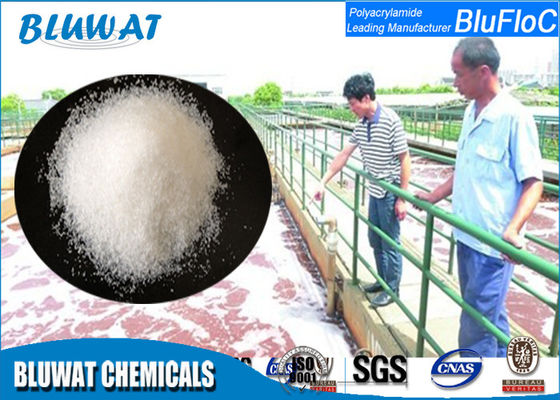 Bluwat Hóa chất Cation Polyacrylamide cho chế biến giấy / than mỏ rửa