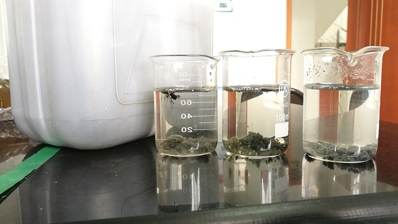 Xử lý nước thải Cationic Polyacrylamide CAS No 9003-05-8 Chứng nhận SGS