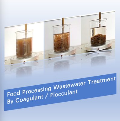 Chế biến công nghiệp thực phẩm 55295 98 2 Chất khử màu nước
