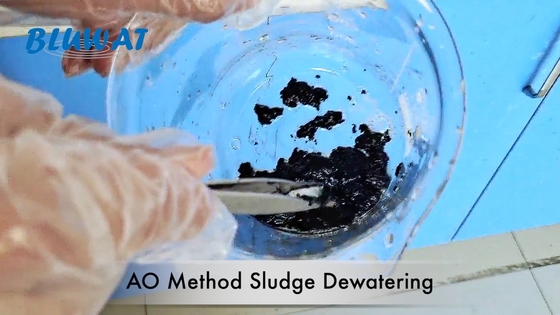 Anoxic Oxic AO Phương pháp khử nước bùn Anionic Polyacrylamide