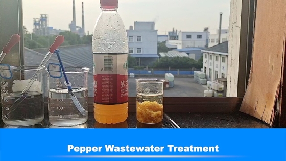 50% Quy trình thực phẩm Hạt tiêu Chất khử màu Bluwat Xử lý nước thải