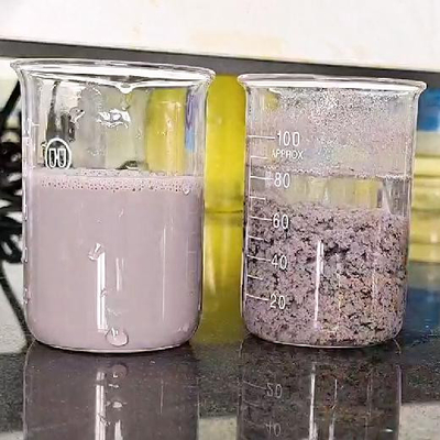 Công nghiệp sơn Xử lý nước Anionic Polymer Flocculant Polyacrylamide