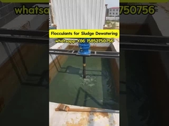 Polyacrylamide Flocculant Polyelectrolyte Điều trị nước bùn làm dày và khô nước