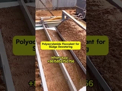 Bluwat Polymers Polyacrylamide được sử dụng trong khử nước bùn