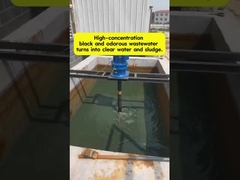 Chuyển nước thải mùi đen thành nước sạch.