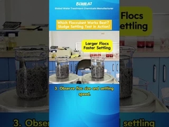 Trận đấu chất dẻo dẻo của PAM: Cái nào nhanh hơn để lắng đọng bùn?